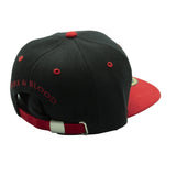 Game of Thrones Snapback Cap Targaryen Rückseite