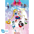 Sailor Moon Poster Moonlight Power