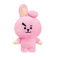 BT21 Plüsch Cooky 17cm