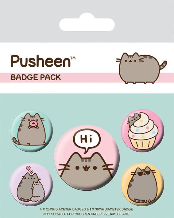 Pusheen Anstecker Hi
