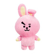 BT21 Plüsch Cooky 26cm