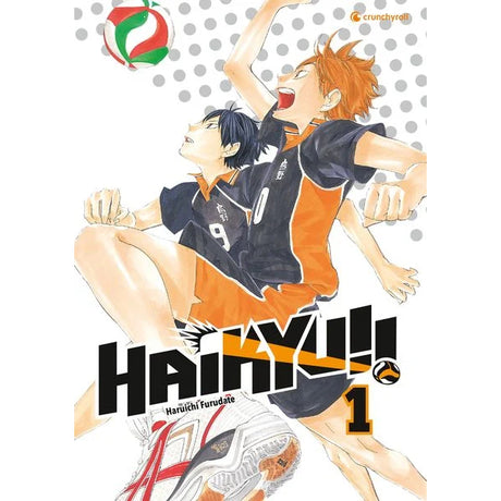 Haikyu!! Manga deutsch