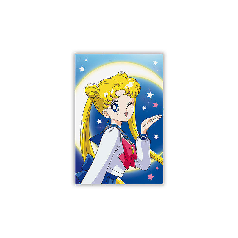 Sailor Moon Magnet
