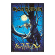 Iron Maiden Poster Fear of the Dark
