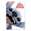 Disney Poster Stitch Face

