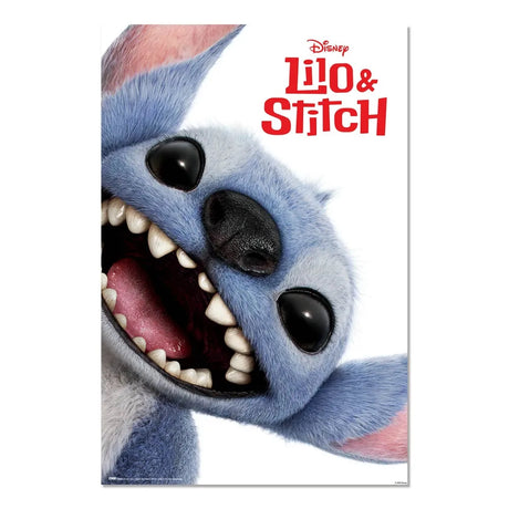 Disney Poster Stitch Face
