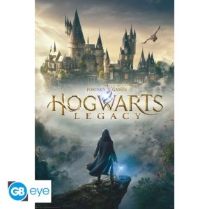 Harry Potter Poster Hogwarts Legacy